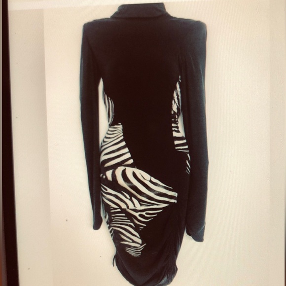 Roberto Cavalli Dresses & Skirts - Roberto Cavalli Zebra Print Long Sleeve  Dress. Size 38.